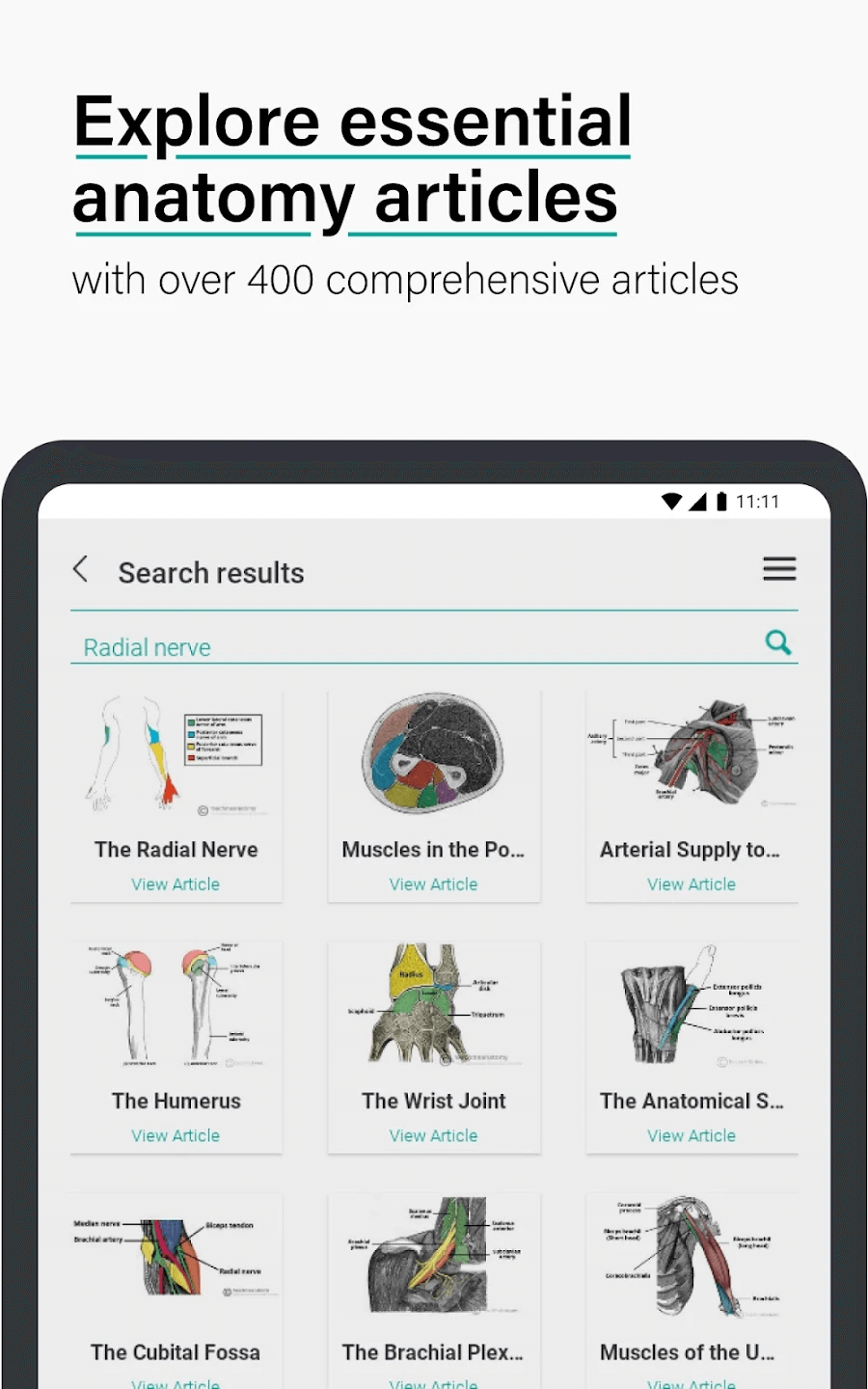 9 Best Anatomy Apps in 2023